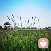 生活慢慢来，一切都有温柔的答案，日子清透，世事温柔。配图