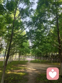 深呼吸4秒+屏息4秒+呼气6秒=焦虑暂停键 —— 哈佛呼吸神经学。