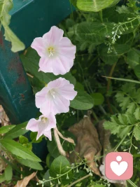 即使深陷泥潭也要努力向前！加油！