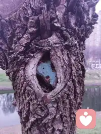 用心倾听情绪
温柔治愈内心
深耕心理咨询多年
愿做你随时可以停靠的树洞
接纳你的
所有脆弱与心事✨配图