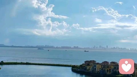 在细碎的日常里，把自己重新养一遍