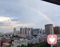 昨天下了一整天的雨，今早终于放晴。走在湿润的街道上，空气里混杂着泥土和草木的清香，忍不住多吸了几口。心理学上说，这种雨后的清新感，其实是大自然在帮我们“情绪排毒”。清新的空气和适宜的温度，能降低皮质醇水平，让紧绷的神经松弛下来。此刻的舒适，是身体与心灵达成的完美和解。