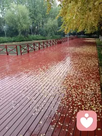 🌱【别让秘密在心里“发霉”，倾诉是最好的解药】

你有没有过这样的感觉？有些话藏在心里久了，不仅没随着时间淡去，反而像一块沉重的石头，压得人喘不过气。

其实，秘密在心里待太久，会悄悄变成一种“心理毒素”。为了守住它，我们需要消耗巨大的心理能量去压抑、去伪装，这会让我们的正念不断流失，整个人变得焦虑又疲惫。久而久之，这种无形的压力甚至会“攻击”我们的身体，引发失眠、头痛或是各种莫名的不适。

亲爱的，你的心不是保险箱，有些重量真的不必一个人扛。当那些情绪无处安放时，“说出来”本身就是一种强大的疗愈。

如果你身边暂时没有合适的听众，或者有些秘密不方便对熟人开口，不妨把这里当作你的树洞。在这里，你可以卸下防备，把那些积压已久的“毒素”倒出来。每一次倾诉，都是一次心灵的排毒；每一个被听见的秘密，都能化作继续前行的力量。

我们在这里，愿意做那个安静听你说话的人。✨

#心理健康 #情绪树洞 #倾诉的力量 #拒绝内耗 #自我关怀