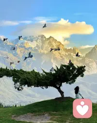 我是你的倾听者

我从不急着开口，也不会随意评判，只是安安静静地，做你专属的倾听者。

你可以卸下所有伪装，不用强装坚强，不用刻意乐观，更不用害怕自己的情绪太过沉重。那些压在心底的委屈、说不出口的难过、无人理解的疲惫，还有那些辗转反侧的心事、无人诉说的烦恼，全都可以慢慢讲给我听。

我会放下所有浮躁，认真接住你的每一句话，每一份情绪。不会打断你，不会敷衍你，也不会用大道理去说教，只是用心去感受你的感受，陪着你沉浸在你的情绪里。你可以哭，可以抱怨，可以语无伦次，可以沉默不语，无论你以何种方式倾诉，我都全盘接纳。

我知道，很多时候你要的不是解决方案，只是一个愿意听你说话、愿意懂你的人。不用你刻意解释，不用你勉强自己，你只管做最真实的自己，把心里的阴霾一点点说出来。

我就在这里，安安静静，耐心守候。做你情绪的出口，做你心事的容器，听你把所有的不如意都倾诉殆尽，陪着你慢慢抚平心里的褶皱。等你说完，我会一直陪着你，直到你心里变得轻松，直到你愿意慢慢往前走，始终温柔，始终坚定。配图