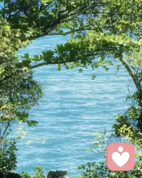 我是你的倾听者

我从不急着开口，也不会随意评判，只是安安静静地，做你专属的倾听者。

你可以卸下所有伪装，不用强装坚强，不用刻意乐观，更不用害怕自己的情绪太过沉重。那些压在心底的委屈、说不出口的难过、无人理解的疲惫，还有那些辗转反侧的心事、无人诉说的烦恼，全都可以慢慢讲给我听。

我会放下所有浮躁，认真接住你的每一句话，每一份情绪。不会打断你，不会敷衍你，也不会用大道理去说教，只是用心去感受你的感受，陪着你沉浸在你的情绪里。你可以哭，可以抱怨，可以语无伦次，可以沉默不语，无论你以何种方式倾诉，我都全盘接纳。

我知道，很多时候你要的不是解决方案，只是一个愿意听你说话、愿意懂你的人。不用你刻意解释，不用你勉强自己，你只管做最真实的自己，把心里的阴霾一点点说出来。

我就在这里，安安静静，耐心守候。做你情绪的出口，做你心事的容器，听你把所有的不如意都倾诉殆尽，陪着你慢慢抚平心里的褶皱。等你说完，我会一直陪着你，直到你心里变得轻松，直到你愿意慢慢往前走，始终温柔，始终坚定。配图
