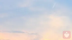 重生