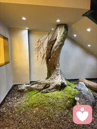 若你无法爱自己，
所有对他人的爱，
都将是痛苦的索取。配图