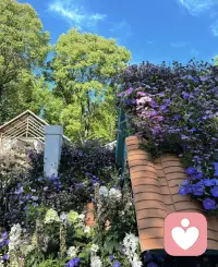 真正的救赎，
并不是厮杀后的胜利，
而是能在苦难之中，
找到生的力量和心的安宁。配图