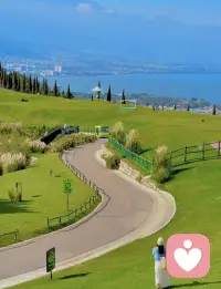 不要肯定自我，
要接纳自我。
接受不完美的自己，
也接受偶尔的无能为力。配图