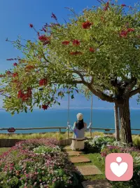 不要肯定自我，
要接纳自我。
接受不完美的自己，
也接受偶尔的无能为力。配图