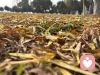 如果一个人有充足的勇气，
去发现令人不快的自我真相，
我们有理由相信，
他强壮到足以走出困境。配图