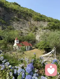 当一个人感到被安全地接纳时，
他就会自己启动成长的程序。配图