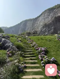 当一个人感到被安全地接纳时，
他就会自己启动成长的程序。配图