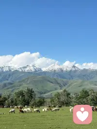 冬天会周而复始，
该相逢的人会再相逢，
所以我们不必总惦记遗憾，
而是要学会期待。