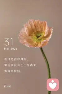 善良是很珍贵的，
但善良没有长出牙齿来，
那就是软弱。配图