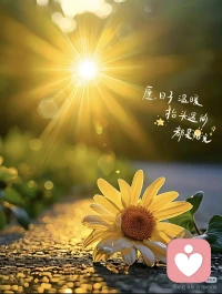 放过自己，接纳所有不完美，日子才会慢慢变好。配图