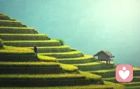 人生本就是起起落落，低谷时沉淀，顺境时沉淀，和自己和解，日子就会温柔。配图