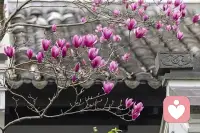 情绪没有好坏，难过、焦虑都很正常。不必强迫自己一直坚强，偶尔卸下防备，和自己好好和解就好。配图