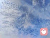 不必讨好所有人，懂你的人自然懂，独处亦是顶级自由。