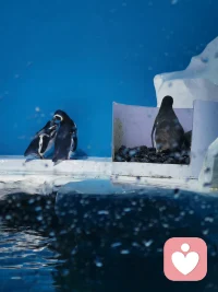 我什么都能自愈，唯独放过你这件事，我反复崩溃，反复为难自己，疯狂蹂躏自己。