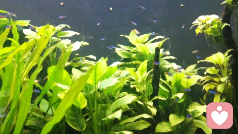 以正念为舟，渡情感创伤之河