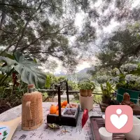 🌿 偷得浮生半日闲，山林茶席，慢煮时光🌳
一杯🍵，一捧果，
生活的美好，
藏在每一个不慌不忙的瞬间里🥰
大自然是最好的疗愈