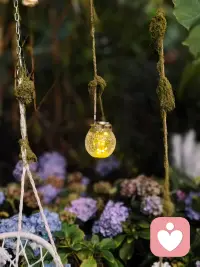 不必做照亮整片森林的太阳，
做一盏温暖自己、也为别人留一点微光的小灯，
就很好⭐⭐⭐