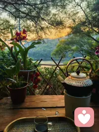 🌿心理咨询师的日常
「做倾听师久了，越来越明白：
最好的疗愈，
从来都不是强行“好起来”，
而是给心灵留一个这样松弛的角落。
看日落，煮温茶，让自然的风，
替我们抚平那些褶皱的情绪。✨