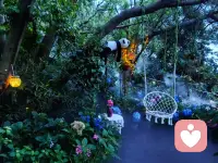 早安🌷
作为心理咨询师与倾听师，我常被问到：
怎样才能不被情绪裹挟？🌿
答案其实藏在自然里——
就像这片被晨雾包裹的森林🌫️
允许自己暂时“断联”，
才能听见内心最真实的声音💛
你不必一直奔跑，
偶尔停下，也是在为自己蓄力🔋
今天，也请温柔对待自己✨