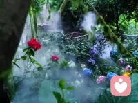 早安🌷
作为心理咨询师与倾听师，我常被问到：
怎样才能不被情绪裹挟？🌿
答案其实藏在自然里——
就像这片被晨雾包裹的森林🌫️
允许自己暂时“断联”，
才能听见内心最真实的声音💛
你不必一直奔跑，
偶尔停下，也是在为自己蓄力🔋
今天，也请温柔对待自己✨