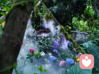 早安🌷
作为心理咨询师与倾听师，我常被问到：
怎样才能不被情绪裹挟？🌿
答案其实藏在自然里——
就像这片被晨雾包裹的森林🌫️
允许自己暂时“断联”，
才能听见内心最真实的声音💛
你不必一直奔跑，
偶尔停下，也是在为自己蓄力🔋
今天，也请温柔对待自己✨