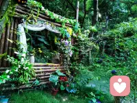 早安🌷
作为心理咨询师与倾听师，我常被问到：
怎样才能不被情绪裹挟？🌿
答案其实藏在自然里——
就像这片被晨雾包裹的森林🌫️
允许自己暂时“断联”，
才能听见内心最真实的声音💛
你不必一直奔跑，
偶尔停下，也是在为自己蓄力🔋
今天，也请温柔对待自己✨