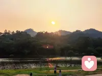 🌿 「今天的日落，像一次无声的心理咨询。
它没有急着给出答案，只是慢慢沉进山的轮廓里，把一天的褶皱，都铺成水面的碎光。
我们总说要“快点好起来”，可就像太阳不用急着落下，情绪也不必急着被“修正”。
它只是在慢慢流动，就像湖面的光，会暗下去，也会再亮起来。
今天也辛苦啦，和这轮落日一起，和自己和解一小会儿吧。
#倾听#心理#自然疗愈配图