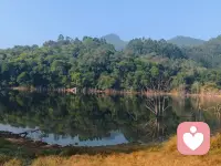 ☀️ 早安。
花园前面的湖，湖面不喧哗，
却装下了整片山林的呼吸🌲🌿；
枯木不说话，
却在倒影里守着自己的轮廓🌳。
成年人的底气，
从来不是向外索取热闹，而是向内扎根🌱，
接纳自己的繁茂，也接纳自己的荒芜。
愿我们都能像这汪静水💧，
守好自己的节奏，不慌不忙，自有力量✨。配图