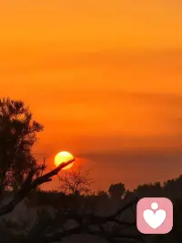 日落是世界动情时的颜色🌄
去追自己的太阳呀
你心中的那束光，是什么样子的？配图