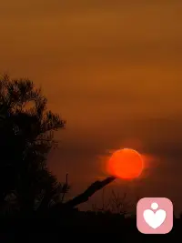 日落是世界动情时的颜色🌄
去追自己的太阳呀
你心中的那束光，是什么样子的？配图