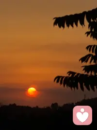 日落是世界动情时的颜色🌄
去追自己的太阳呀
你心中的那束光，是什么样子的？配图