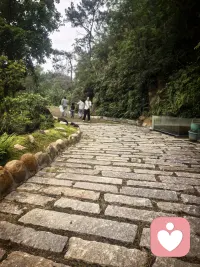 🌿 午间躲进山林里，听风穿过树叶，看雾漫过池边，还有懒洋洋的毛孩子打盹。
作为倾听师，习惯了承接别人的情绪与故事，此刻只想把自己交给自然。
在被需要之前，先好好安放自己的心，才能带着更稳的力量，接住每一份脆弱。
#心理咨询师的日常 #午间疗愈时刻配图