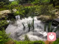 🌿 午间躲进山林里，听风穿过树叶，看雾漫过池边，还有懒洋洋的毛孩子打盹。
作为倾听师，习惯了承接别人的情绪与故事，此刻只想把自己交给自然。
在被需要之前，先好好安放自己的心，才能带着更稳的力量，接住每一份脆弱。
#心理咨询师的日常 #午间疗愈时刻配图