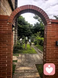 🌿 午间躲进山林里，听风穿过树叶，看雾漫过池边，还有懒洋洋的毛孩子打盹。
作为倾听师，习惯了承接别人的情绪与故事，此刻只想把自己交给自然。
在被需要之前，先好好安放自己的心，才能带着更稳的力量，接住每一份脆弱。
#心理咨询师的日常 #午间疗愈时刻配图