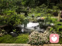 🌿 午间躲进山林里，听风穿过树叶，看雾漫过池边，还有懒洋洋的毛孩子打盹。
作为倾听师，习惯了承接别人的情绪与故事，此刻只想把自己交给自然。
在被需要之前，先好好安放自己的心，才能带着更稳的力量，接住每一份脆弱。
#心理咨询师的日常 #午间疗愈时刻配图