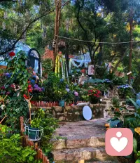 🌿早安，
林间花事。
石阶、绿意，和不慌不忙的清晨✨