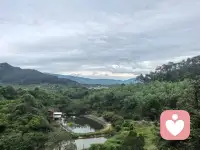 被绿意和鸟鸣叫醒的早晨，
是大自然给的温柔能量包🌿