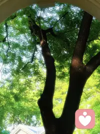 在精神的乐园里 小息一下配图
