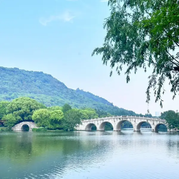 源芳 | 疗愈小院