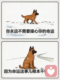 我们能做的，是学会安住当下，享受当下🙏配图