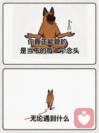 我们能做的，是学会安住当下，享受当下🙏配图
