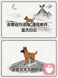 我们能做的，是学会安住当下，享受当下🙏配图