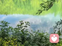 在这个人人都绷着、端着、耗着的时代，一个放松的、干净的、内心安定的人，本身就是稀缺的能量源。配图