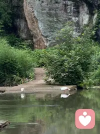 一人做不了全家的主，家庭氛围是每个人呈现自己
家人各安其位，自在做自己
好比火锅底料，每一种调料都不可或缺
#守好本心、只做好自己、发挥自己的价值[爱心]配图